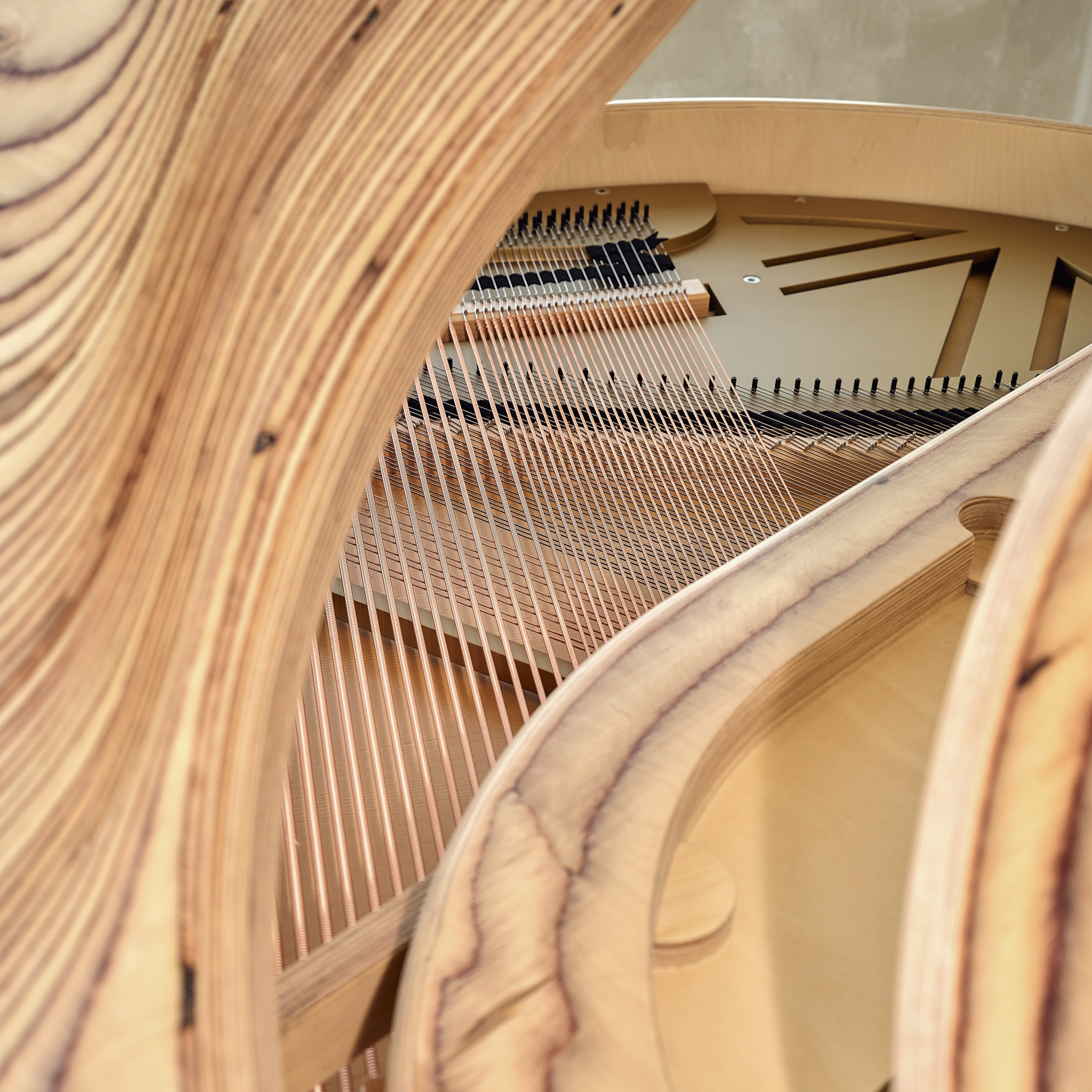 Timbra image number 9